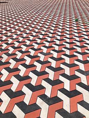 PM168: ARROW PAVING BLOCK