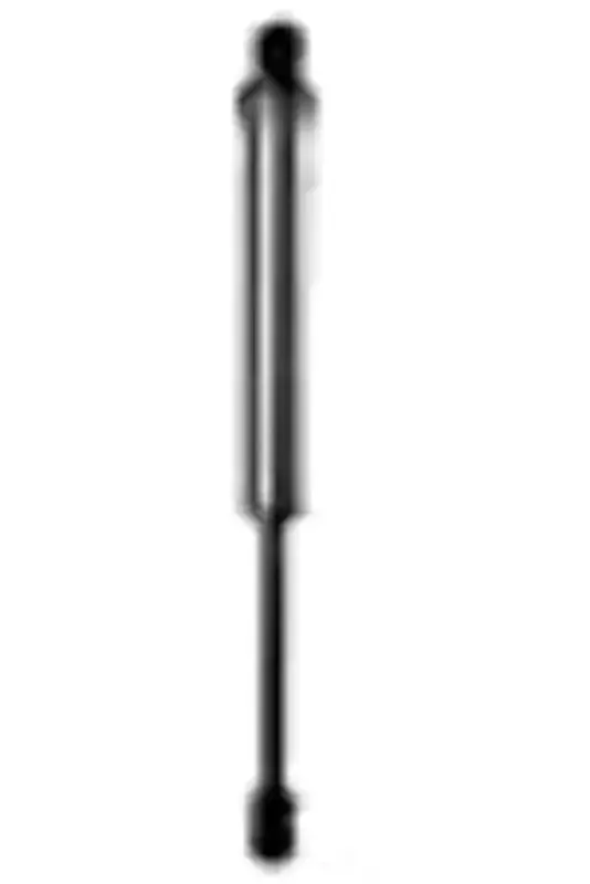 Fabtech FTS810752 Dirt Logic Shock Absorber