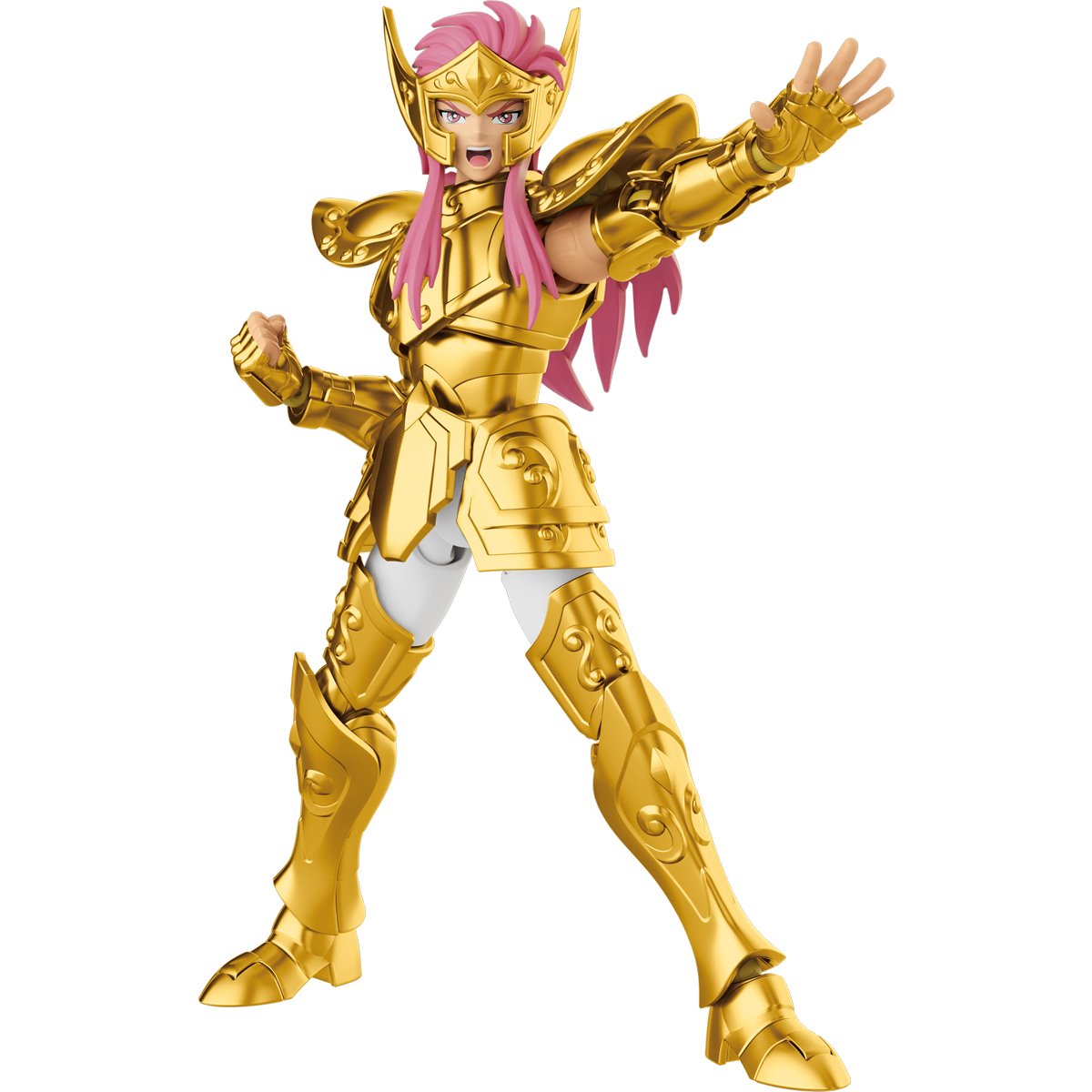 Aquarius Camus Saint Seiya Model Kit