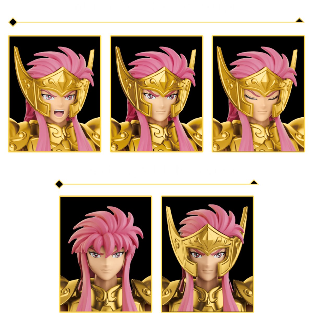 Aquarius Camus Saint Seiya Model Kit