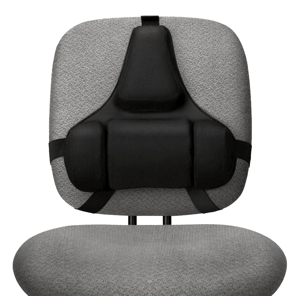Fellowes Professional Series Back Support with Microban Protection, Black (8037601)