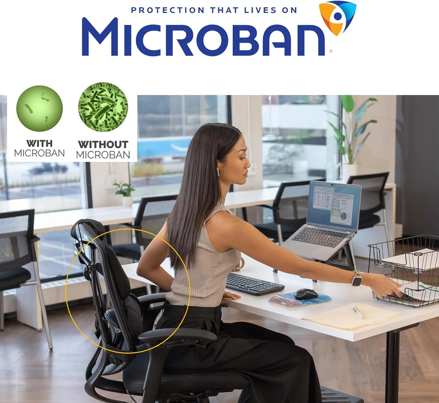 Fellowes Professional Series Back Support with Microban Protection, Black (8037601)