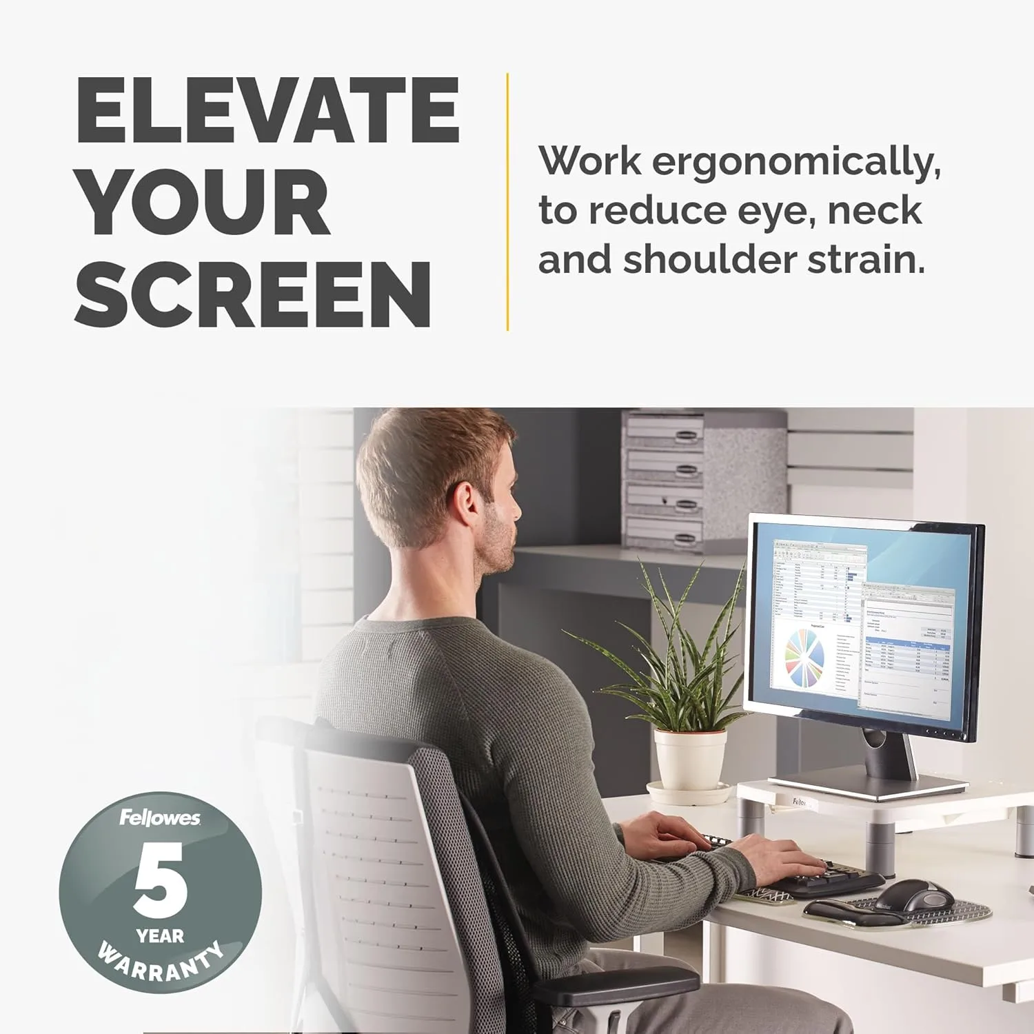 Fellowes Standard Monitor Riser (91712), Platinum/Graphite 1 Count (Pack of 1)