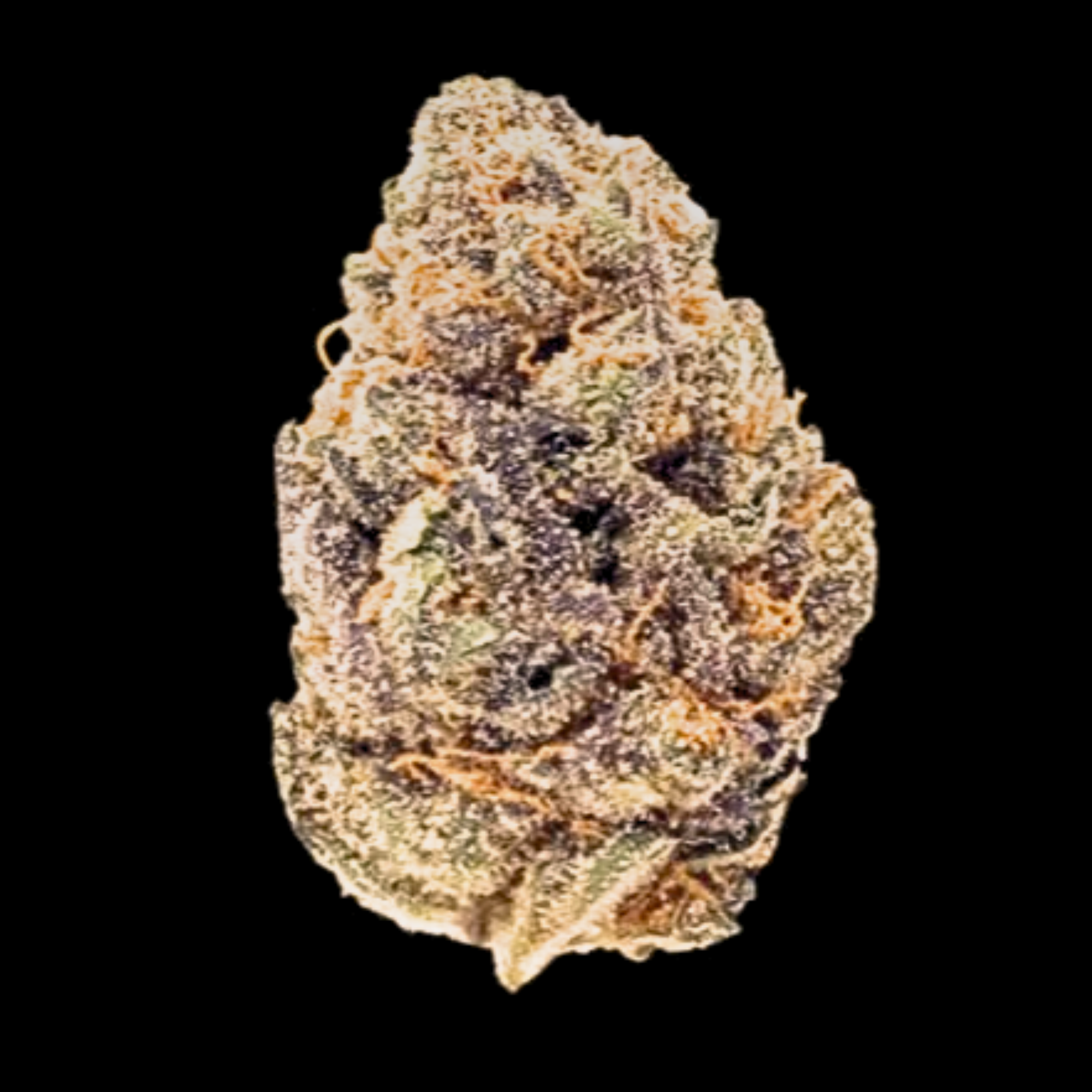 Fruity Gas Indoor Premium Importada