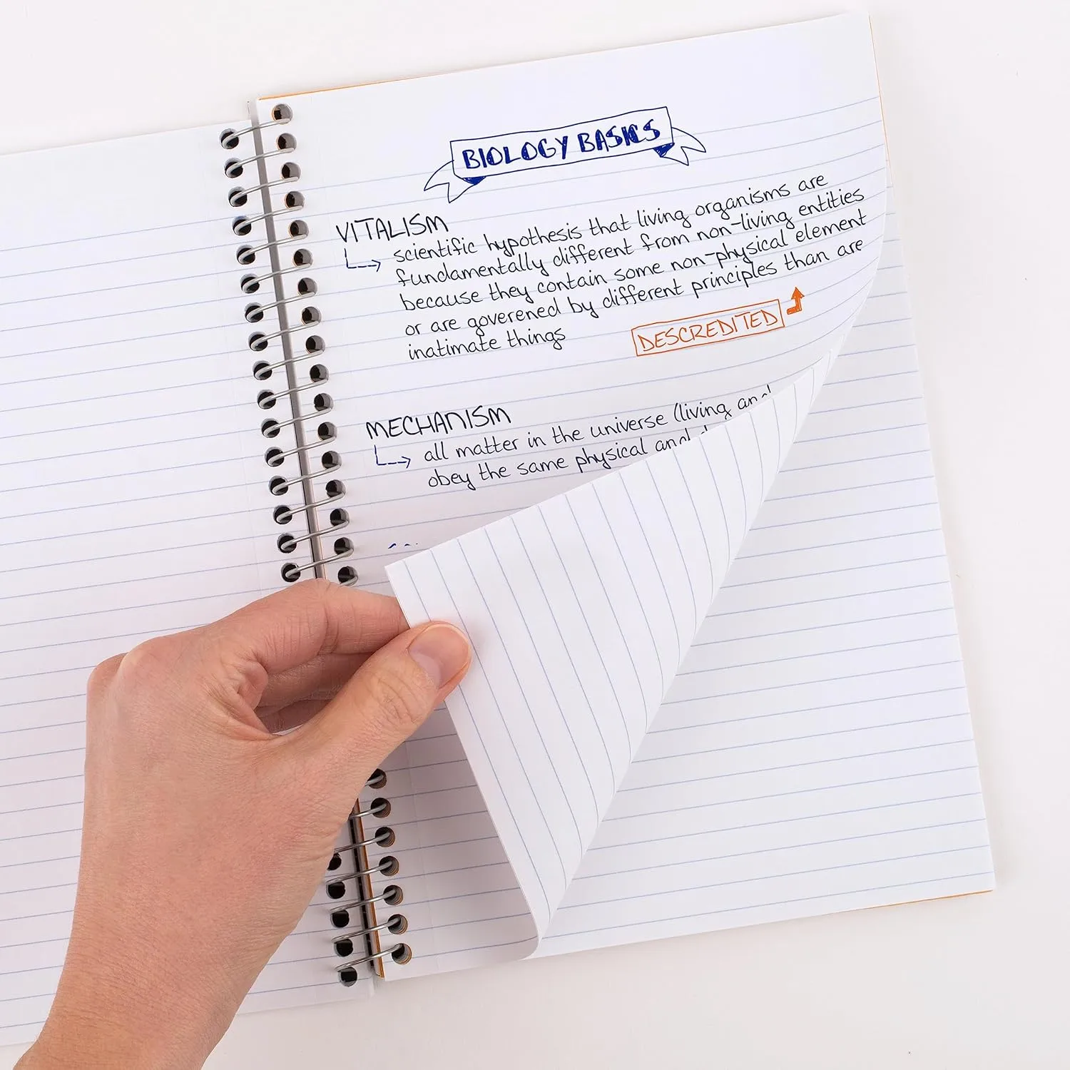 Five Star Small Spiral Notebooks, 6 Pack, 2 Subject, College Ruled Paper, 9-1/2" x 6", 100 Sheets, Assorted Colors (73711)