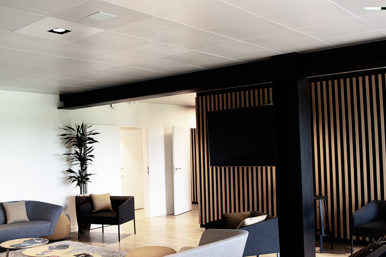 Artsound Initmi SQ2060 Inwall Speaker