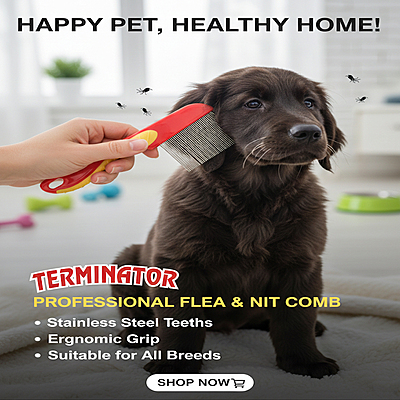 Flea Comb with Hand فلاية