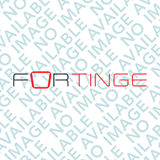 FORTINGE GLS - 08 GLASS FOR 19" ERA SERIES STUDIO TELEPROMPTER