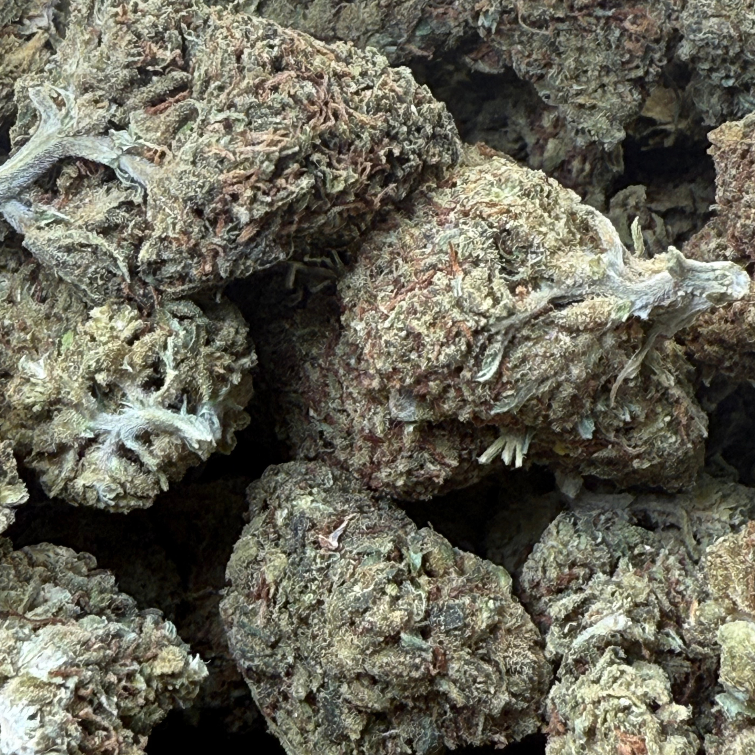 Forbidden Fruit Greenhouse Exotic