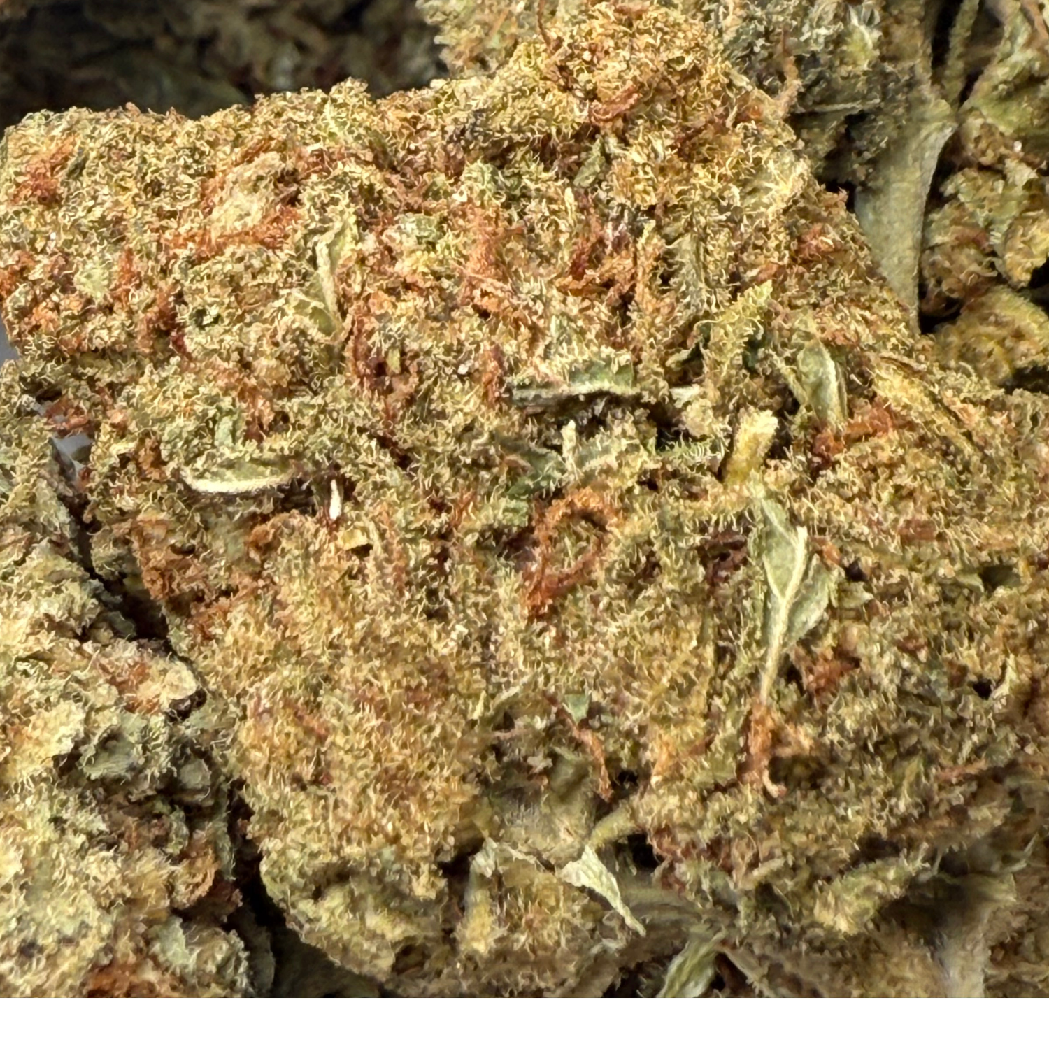 Forbidden Fruit Greenhouse Exotic