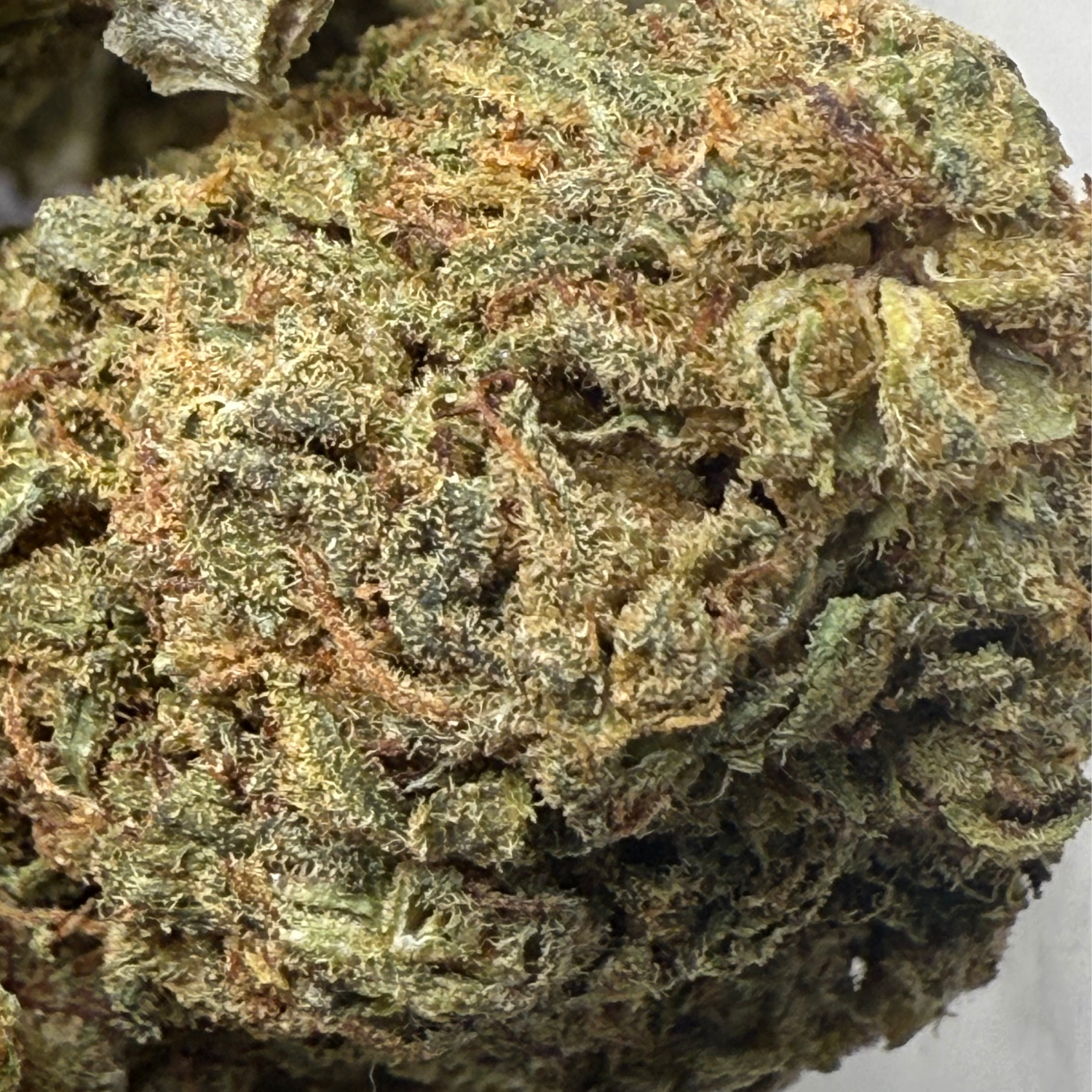 Forbidden Fruit Greenhouse Exotic