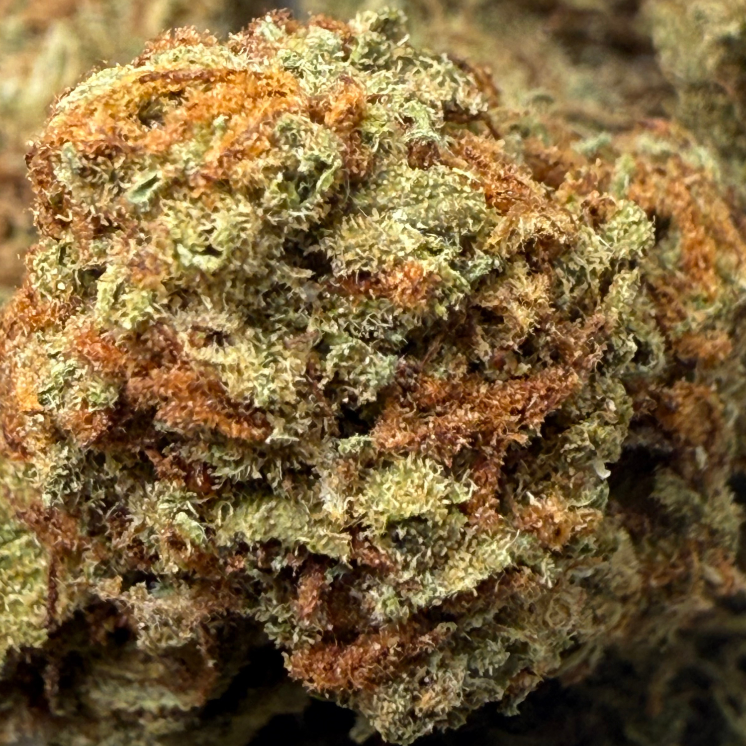 Forbidden Fruit Greenhouse Exotic