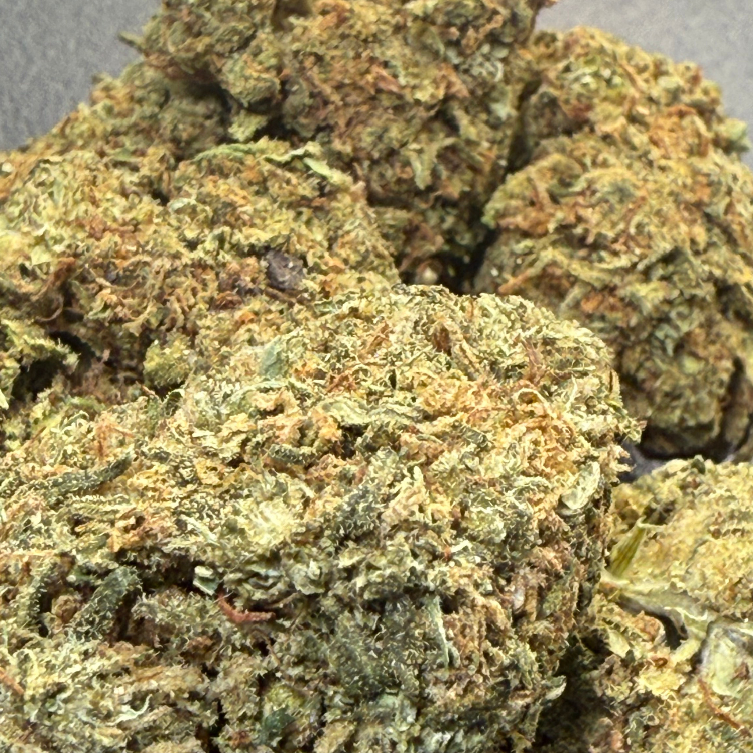 Forbidden Fruit Greenhouse Exotic