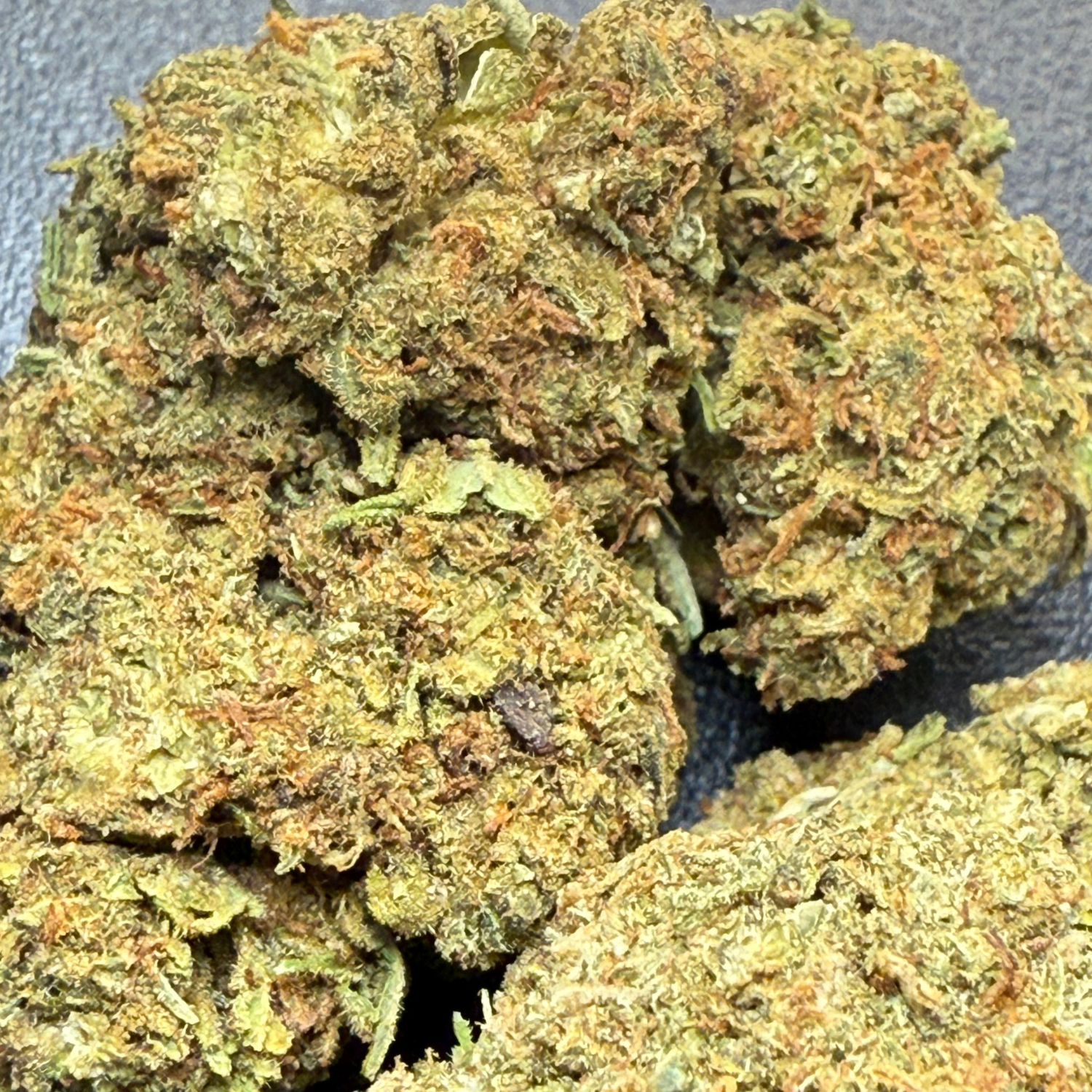 Forbidden Fruit Greenhouse Exotic
