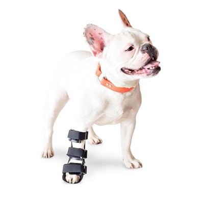 Ferula Pata Delantera Para Perro Walkin’ Front Splint de Handicapped Pets Ferula Pata Delantera Para Perro Walkin’ Front Splint de Handicapped Pets