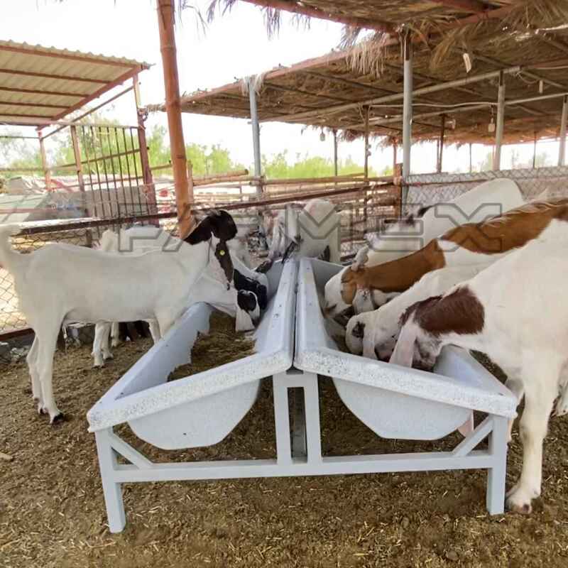 Farmex Trough 150 Liter for Sheep Double