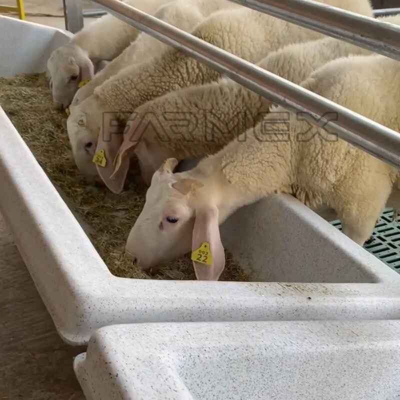 Farmex Trough 150 Liter for Sheep Hanger
