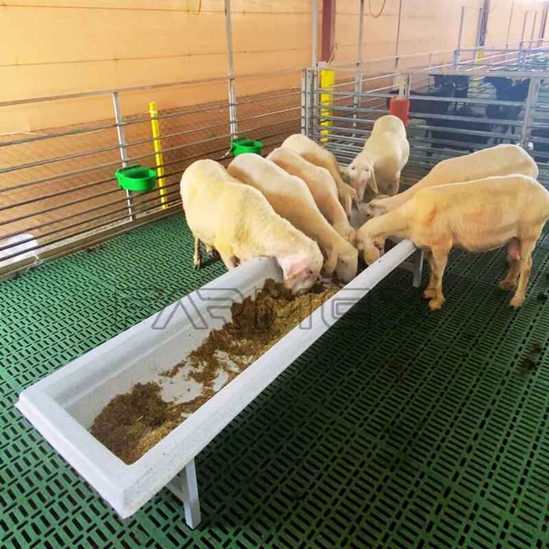 Farmex Trough 200 Liter for Sheep
