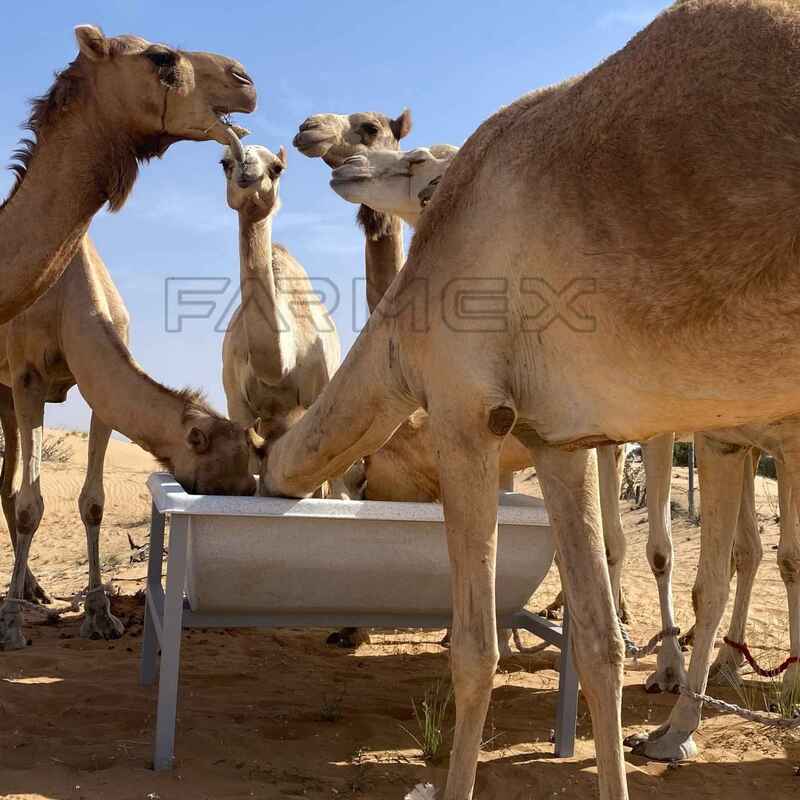 Farmex Trough 350 Liter for Camel