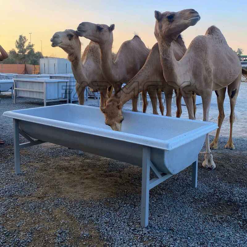 Farmex Trough 750 Liter for Camel