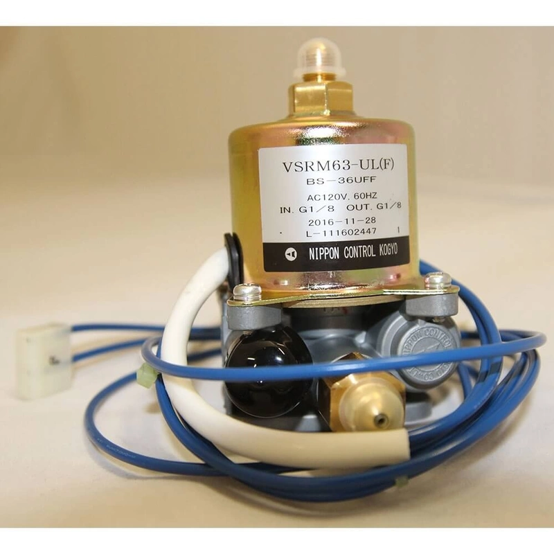 Fuel Pump (BS36UFF)