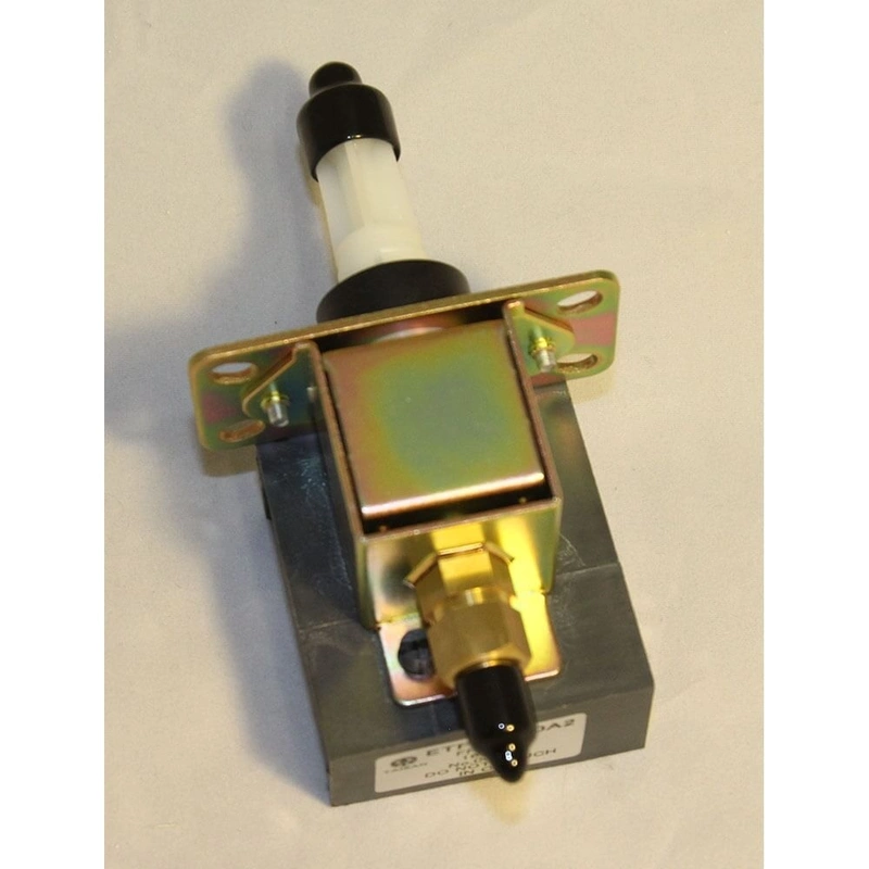 Fuel Pump (L30)