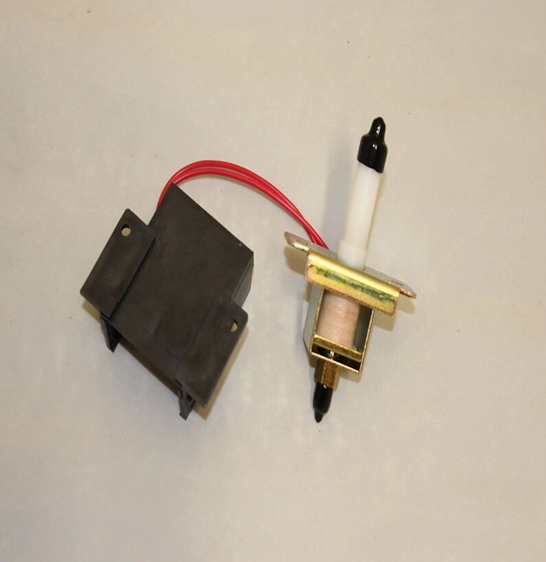 Fuel Pump (L56)