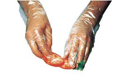 IBS Poly Foodservice Glove Medium *SOLD BY INNER BOX ONLY* 1 box 10/100