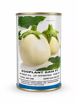 Eggplant Gaia F1