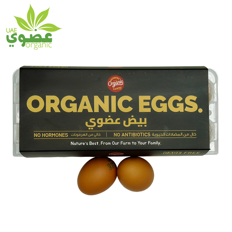 GardenZ Organic Cage-Free Eggs | Pack of 10 | Grade A | 44–70 gm | No Antibiotics, No Hormones | Hygienic Pack GardenZ Organic Cage-Free Eggs | Pack of 10 | Grade A | 44–70 gm | No Antibiotics, No Hormones | Hygienic Pack