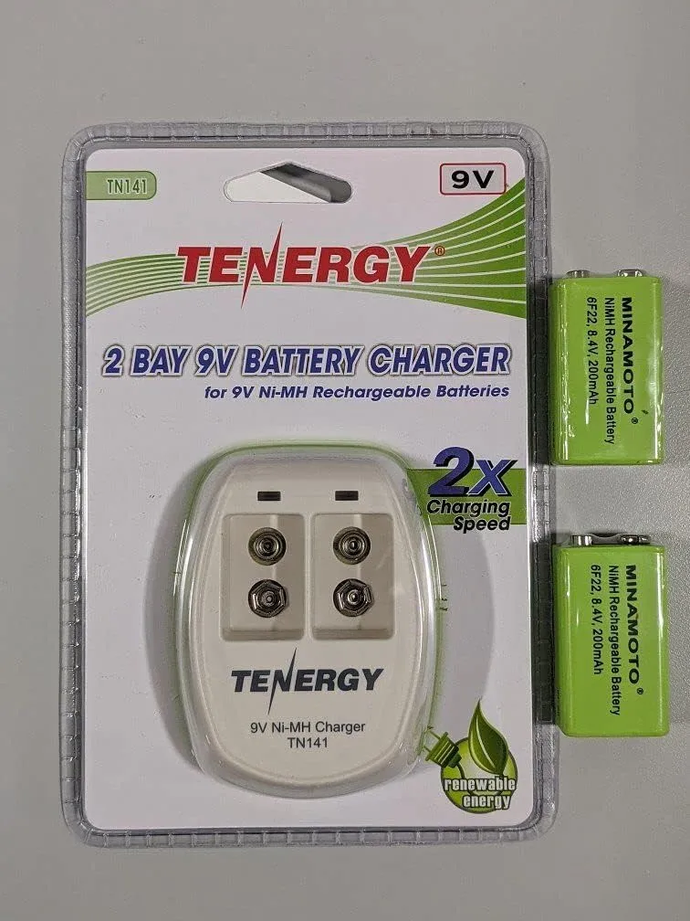 Garrett Recharger Kit for Garrett SuperWand and THD - 2 NiMH Batteries and 110 Volt Charger 1612000