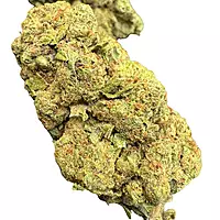 Green Crack Greenhouse Exotic Living Soil