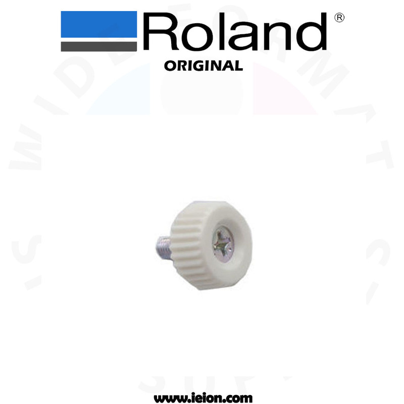 Roland BN-20 PLAPOINT, FE 4*10 WH 3C- 3000000191