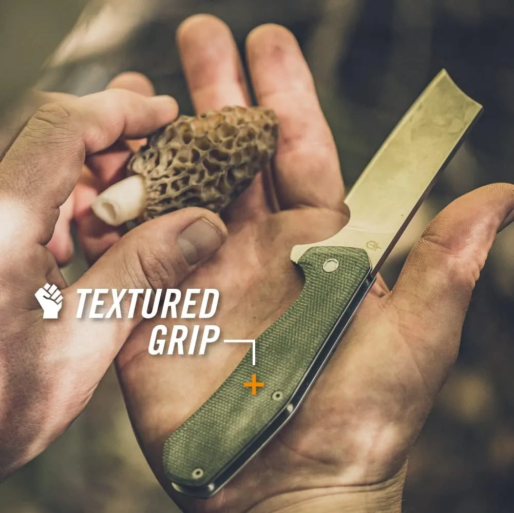 Gerber Gear Asada Folding Cleaver Pocket Knife