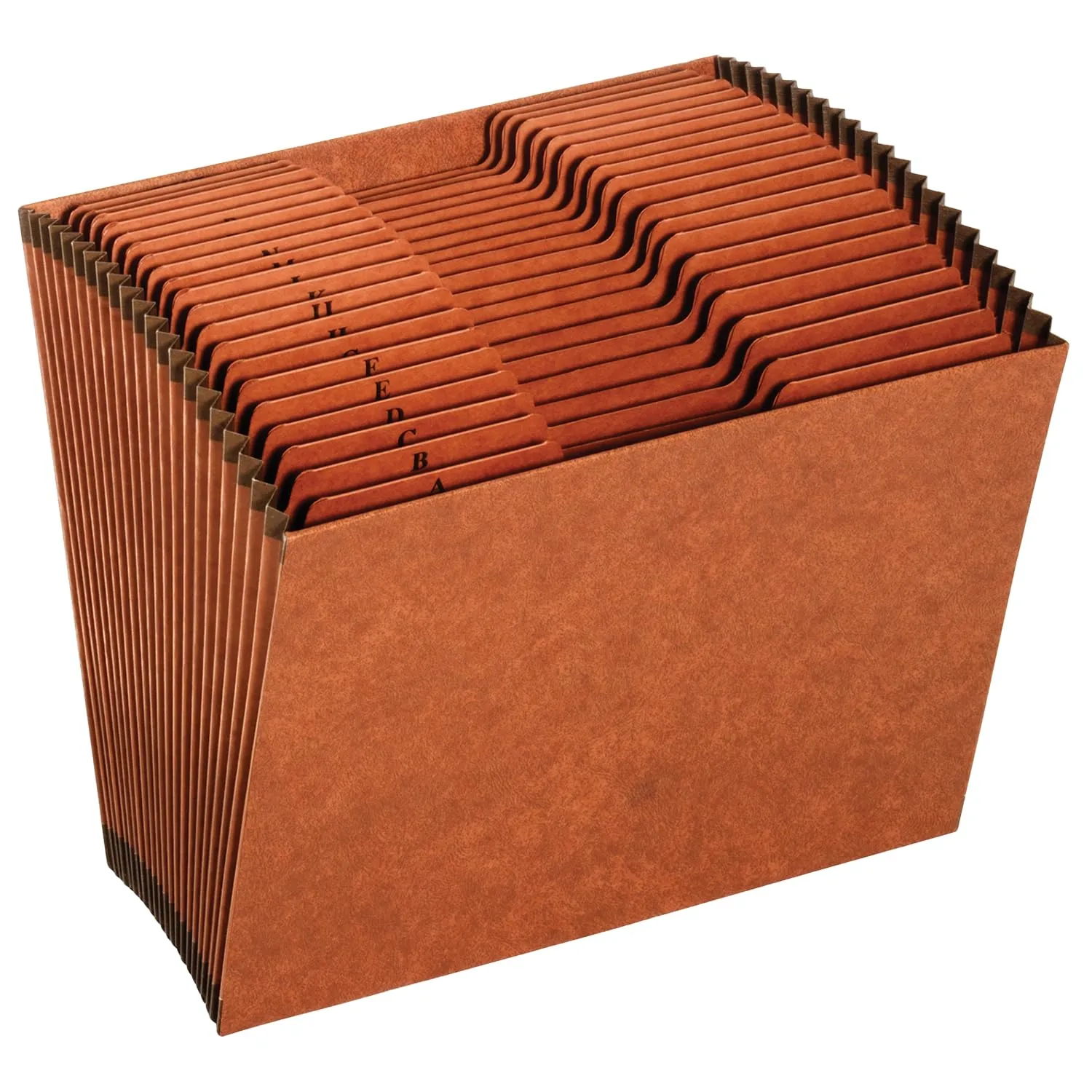 Globe-Weis Expanding File, 21-Pocket Letter Size, Brown (R217AHD)