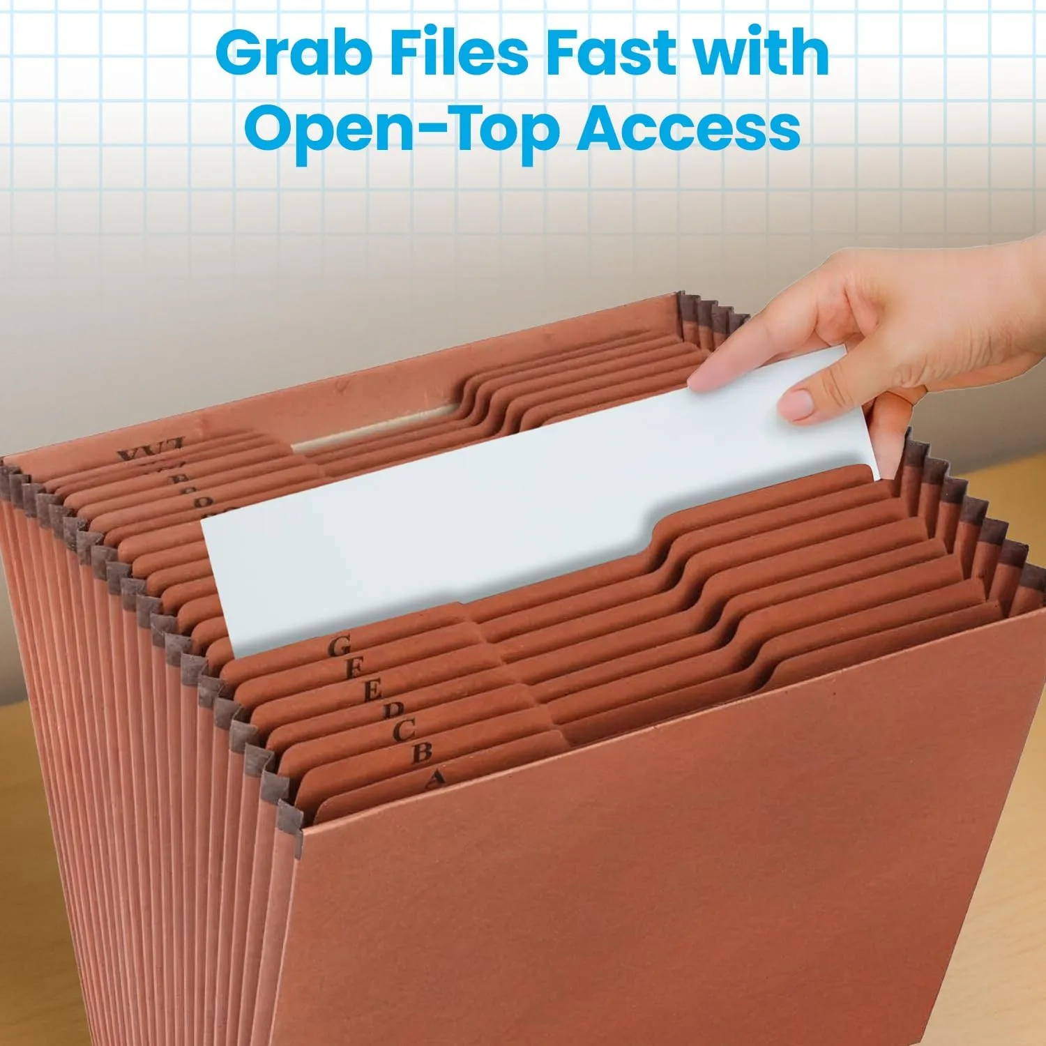 Globe-Weis Expanding File, 21-Pocket Letter Size, Brown (R217AHD)