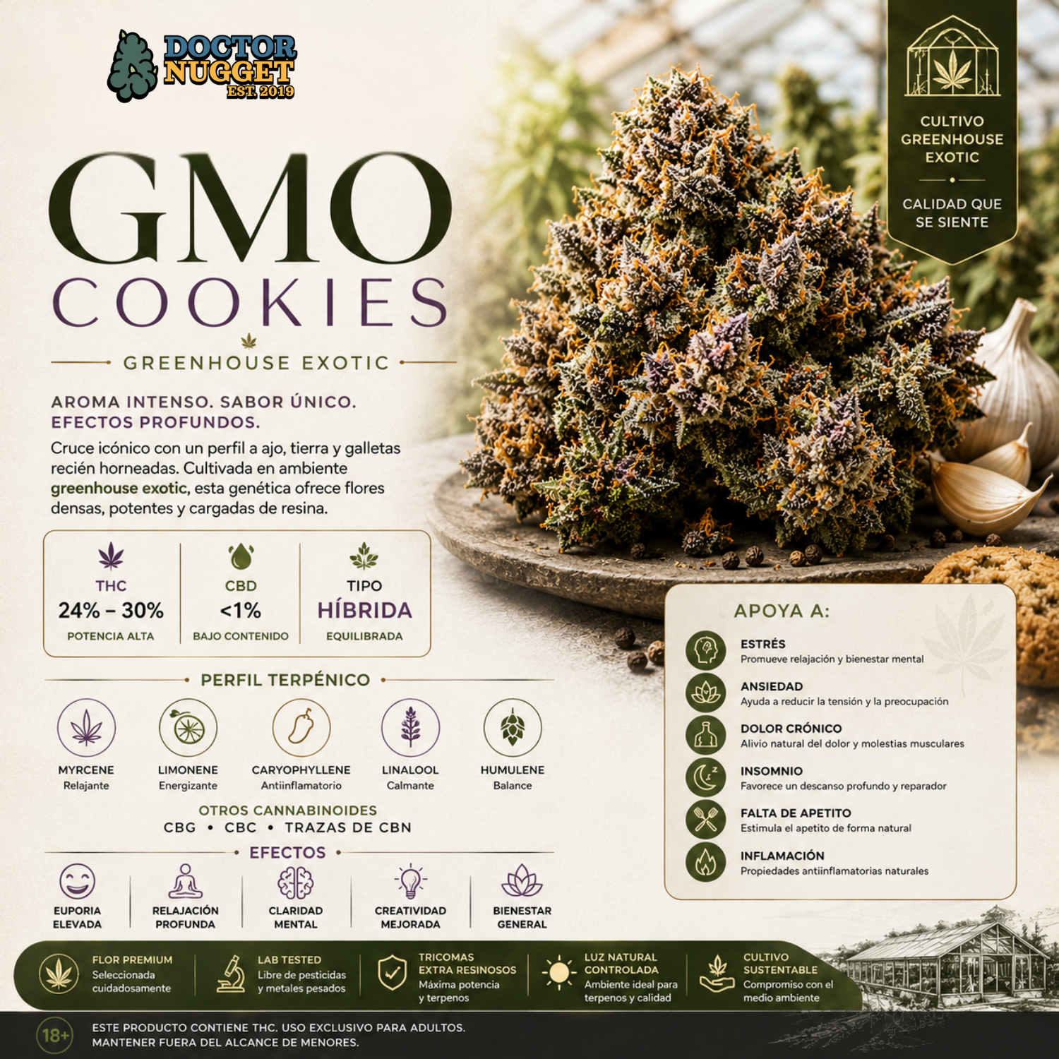 Dr. Nugget GMO Cookies THC Flor