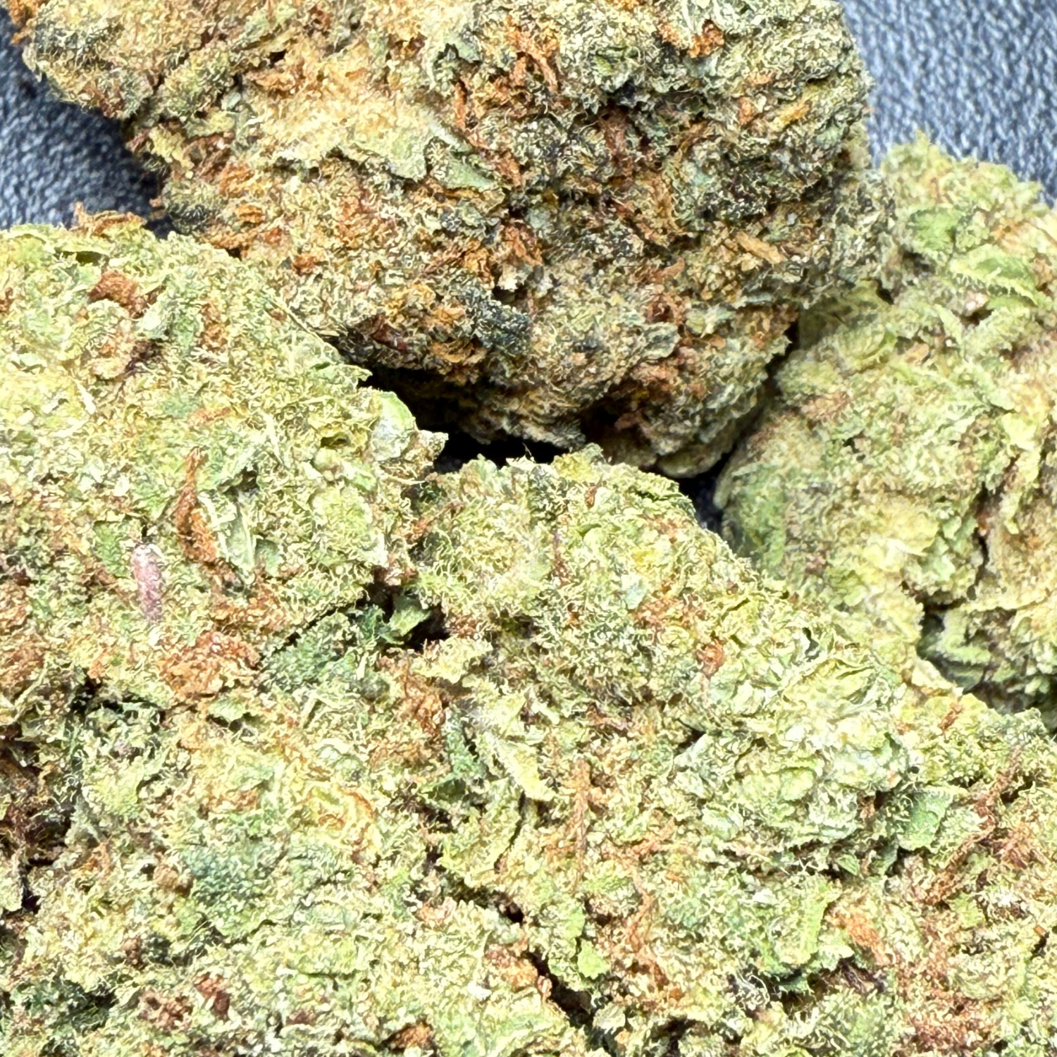 Dr. Nugget GMO Cookies THC Flor