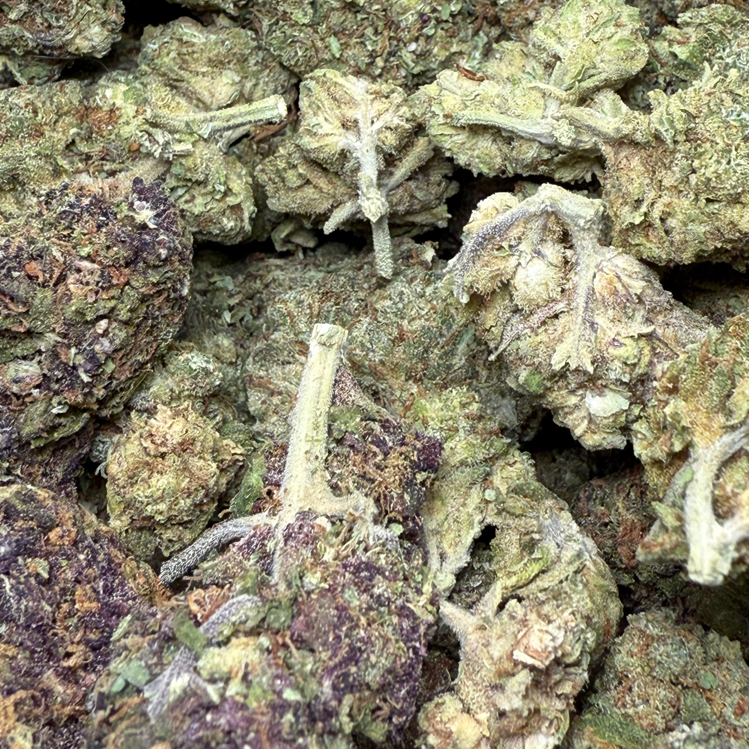Dr. Nugget GMO Cookies THC Flor
