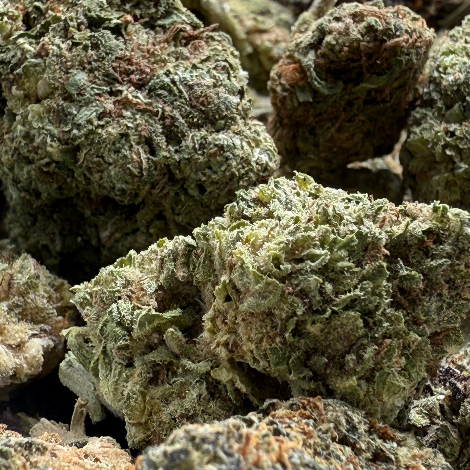 Dr. Nugget GMO Cookies THC Flor