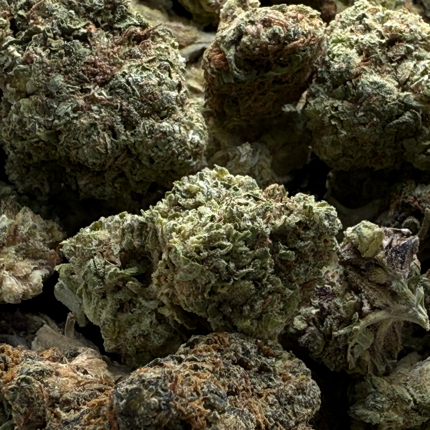 Dr. Nugget GMO Cookies THC Flor