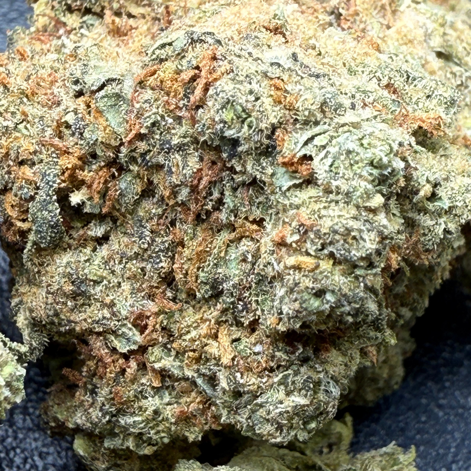 Dr. Nugget GMO Cookies THC Flor