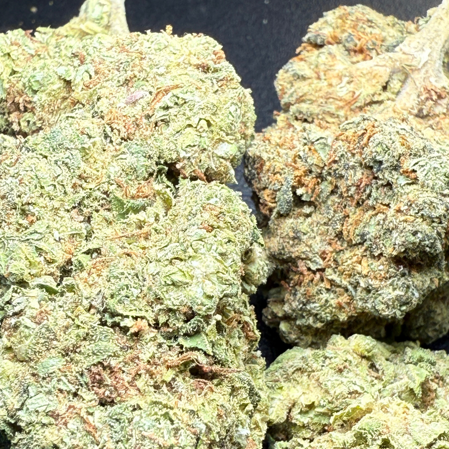 Dr. Nugget GMO Cookies THC Flor