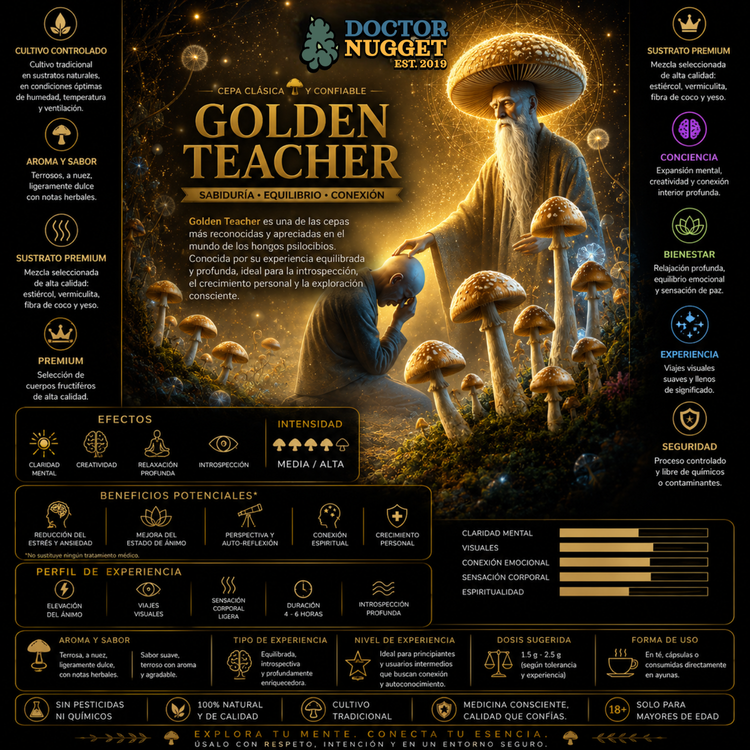 Golden Teacher Hongo Psilocibio Premium