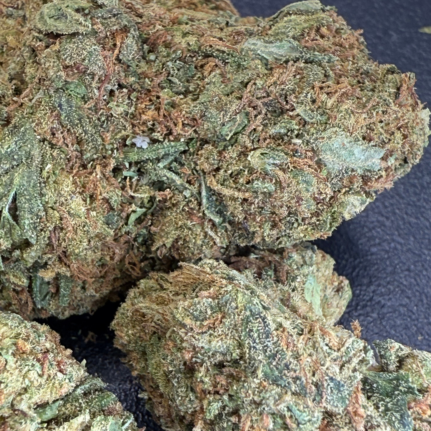 Gorilla Glue Greenhouse Edición Mundialista