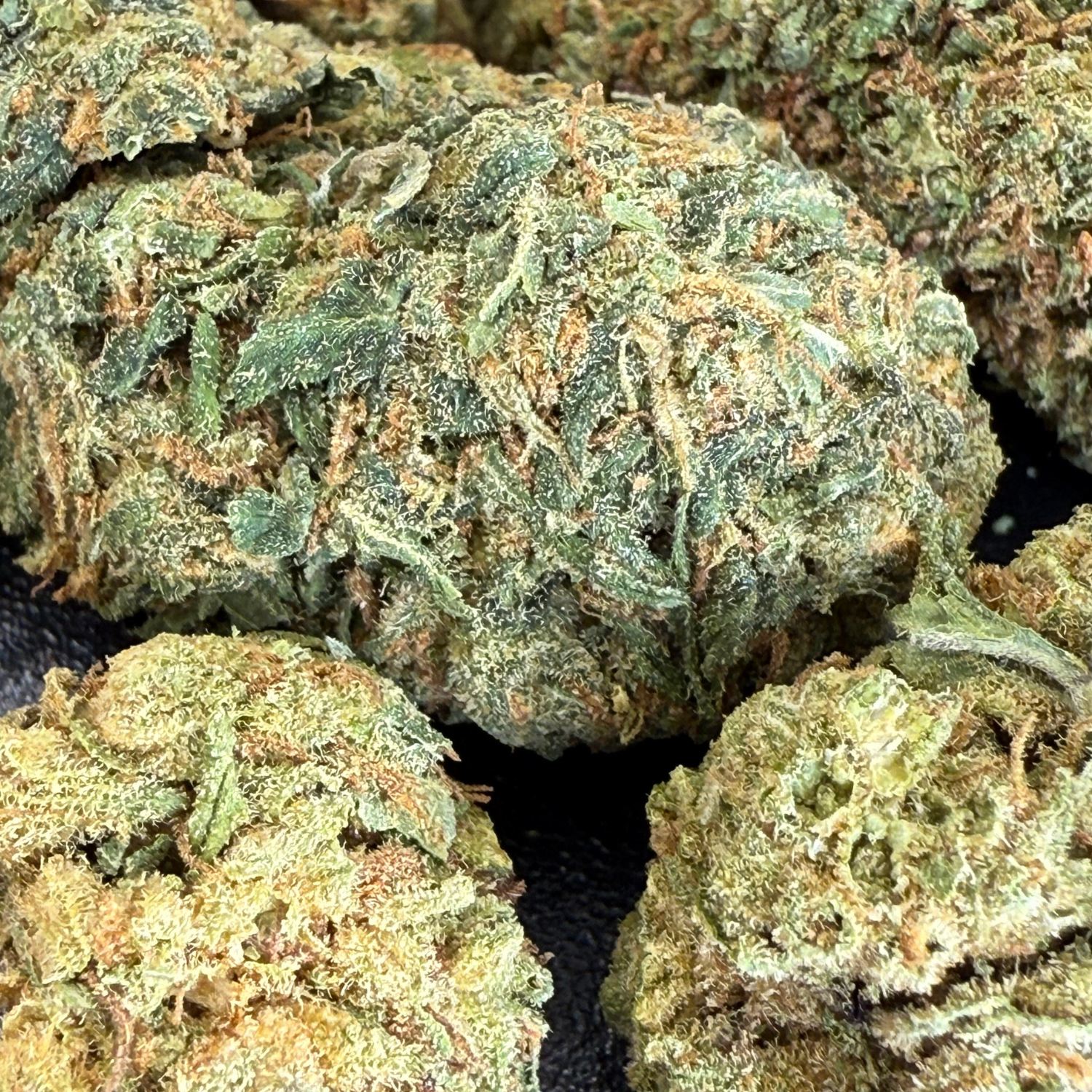 Gorilla Glue Greenhouse Edición Mundialista