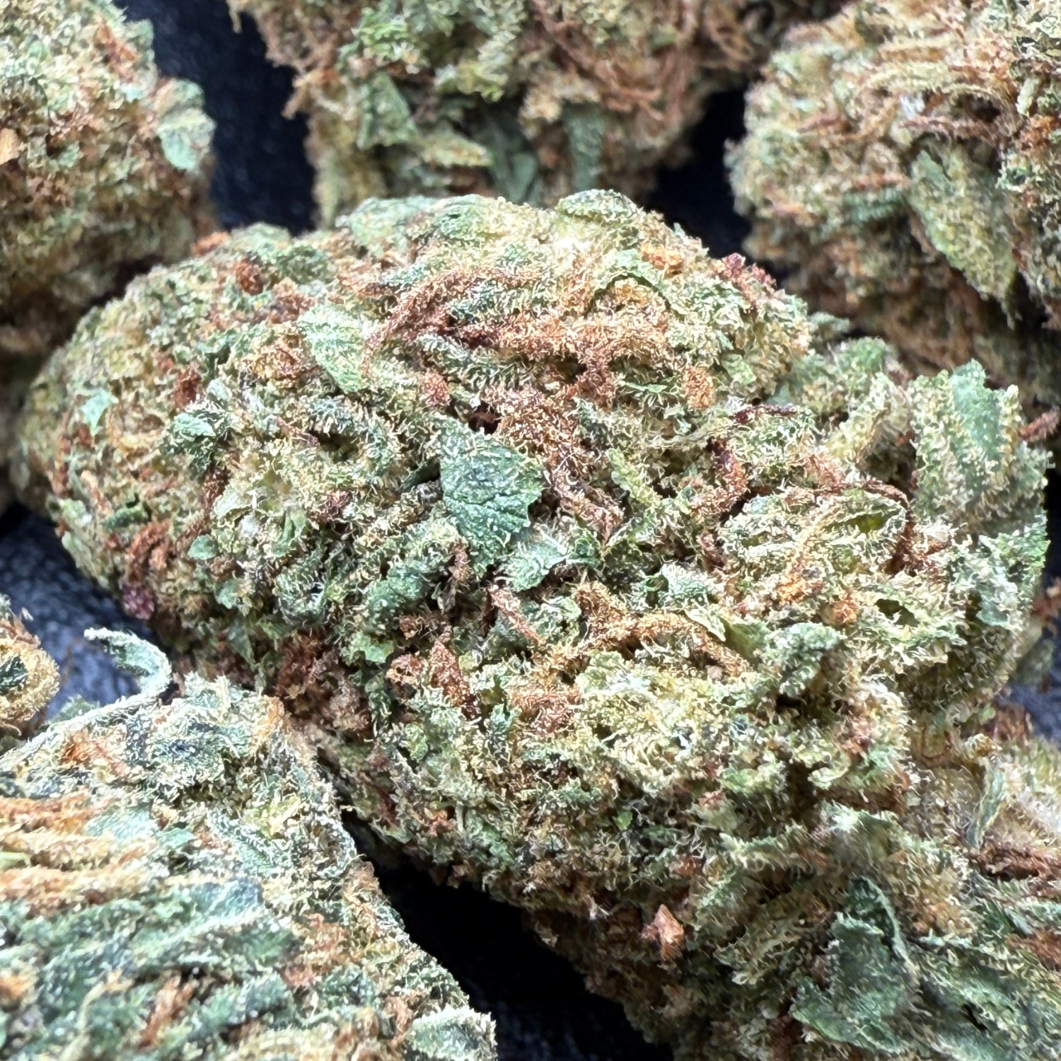 Gorilla Glue Greenhouse Edición Mundialista