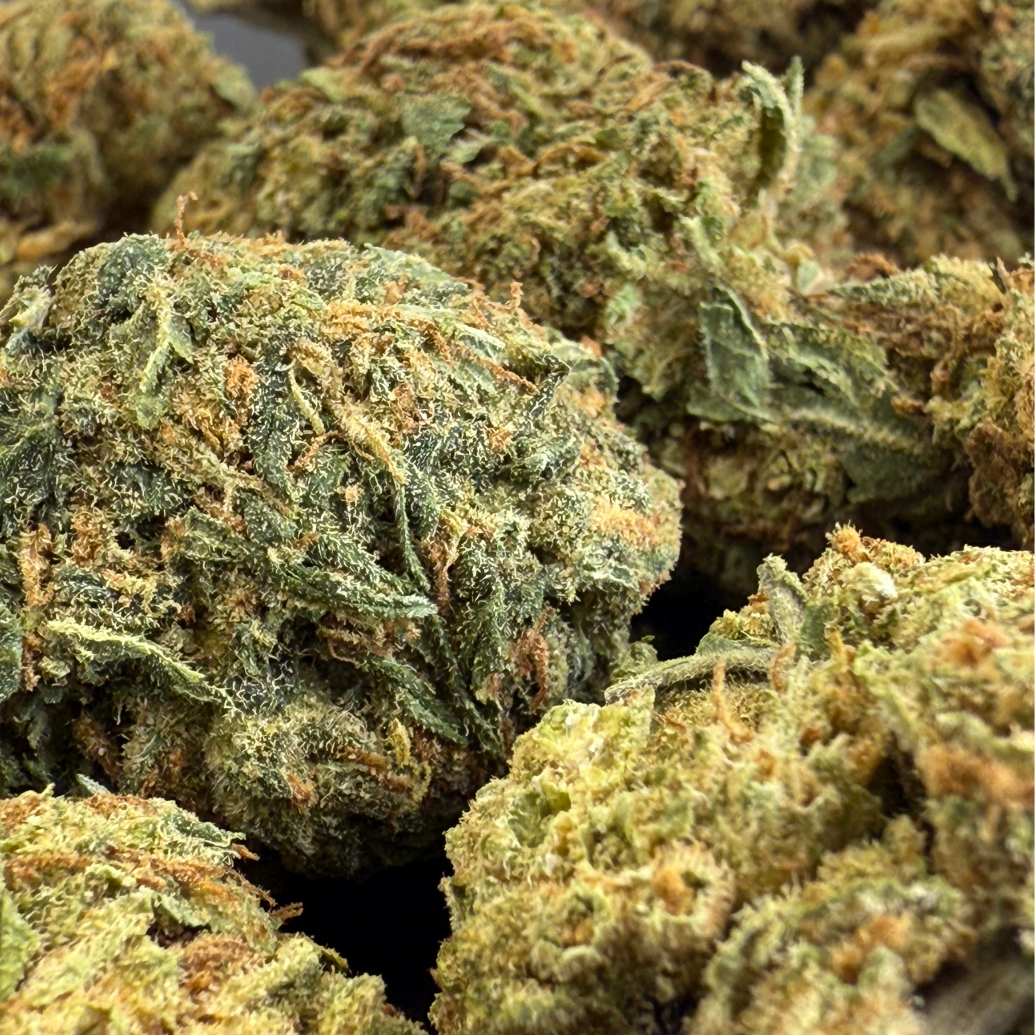 Gorilla Glue Greenhouse Edición Mundialista