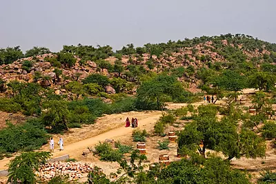 Govardhan Parikrama Special