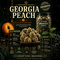 Dr. Nugget Georgia Peach THC Flor